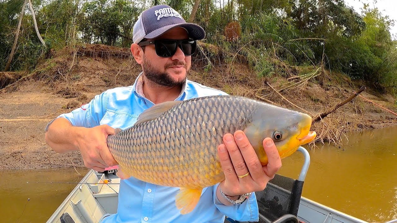 O SEGREDO DA PESCARIA DO PIAVUÇU NO RIO MIRANDA !!!