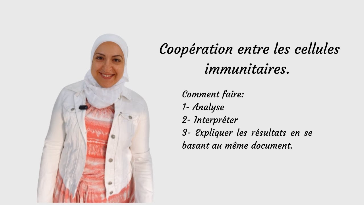 Pourquoi les lymphocytes T  ou lymphocytes B seuls n’aboutissent pas à lélimination des antigènes?