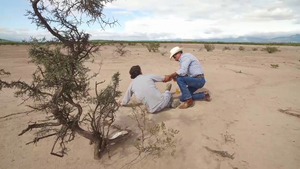 RESCATE EN EL DESIERTO