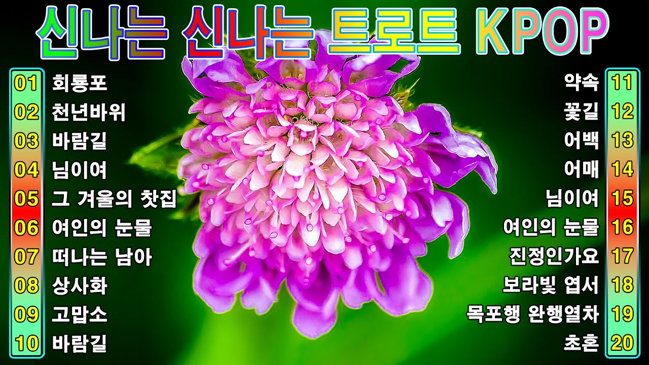 [ TOP ] 신나는 신나는 트로트 KPOP (TROT) PLAYLIST 💴 ( 꽃길.상사화.여인의 눈물.회룡포.바람길...) #Kpop