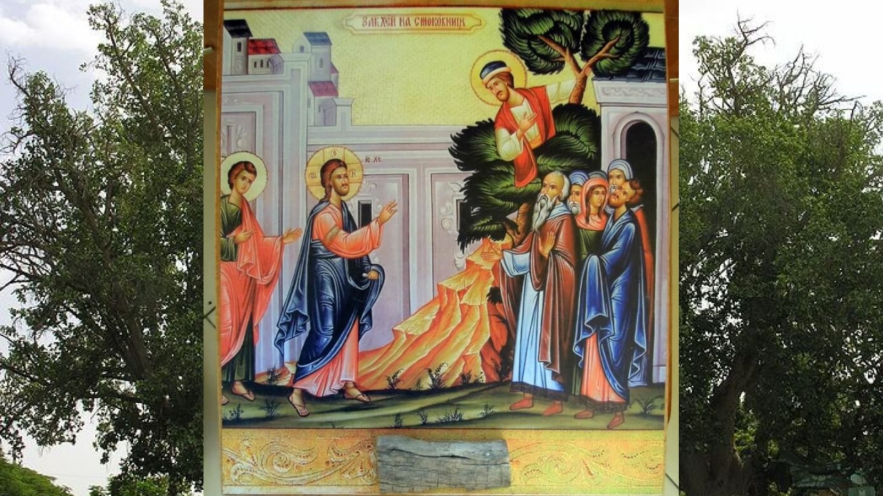 St Gregory the Theologian, Sunday Matins and Divine Liturgy, 25-1-2026