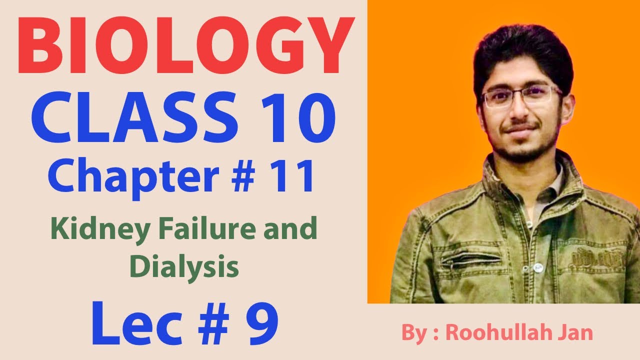 Kidney failure and dialysis | Chapter # 11 | Biology Class 10th | Lec # 9 | haemodialysis |