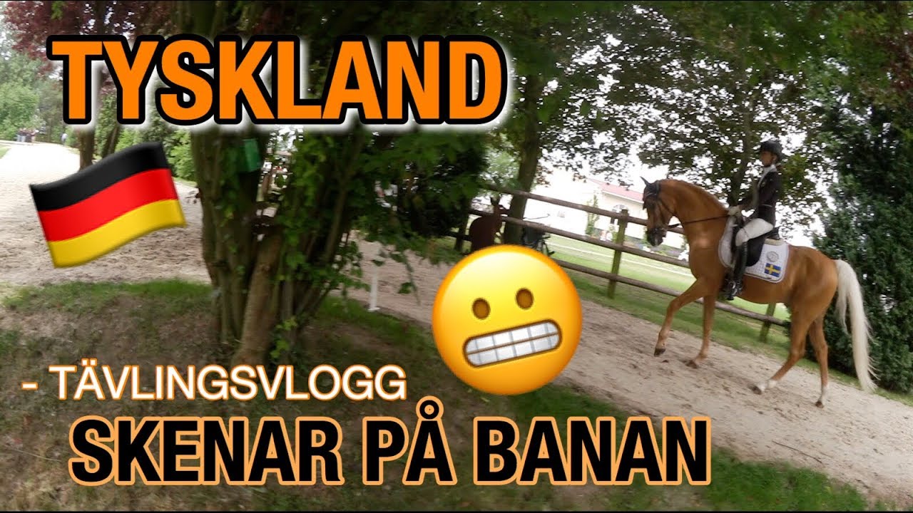 SKENAR PÅ BANAN | HAAGEN DAG 3 & 4