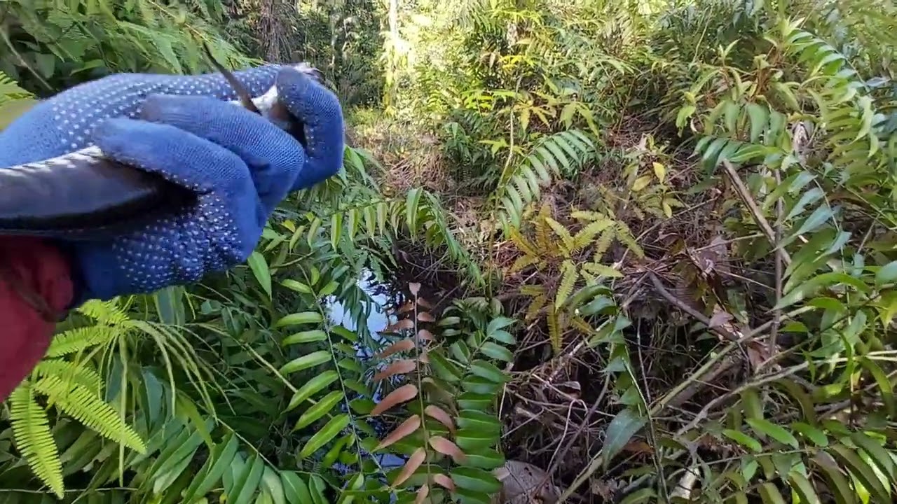 Sambaran bertubitubi di spot angker