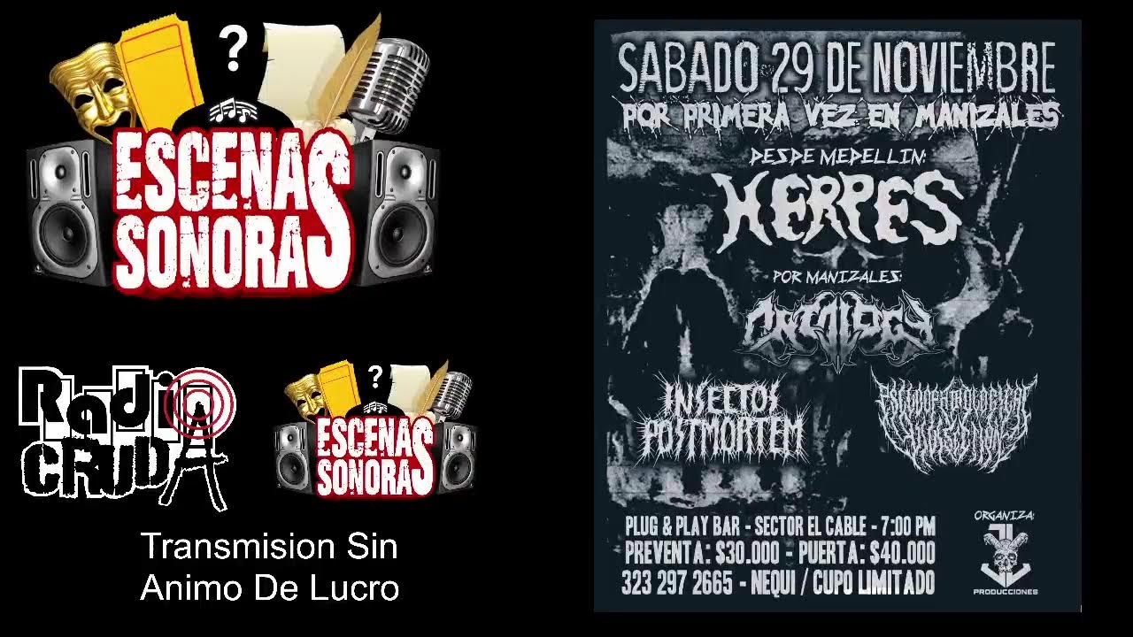 Escenas Sonoras 28 Noviembre 2025