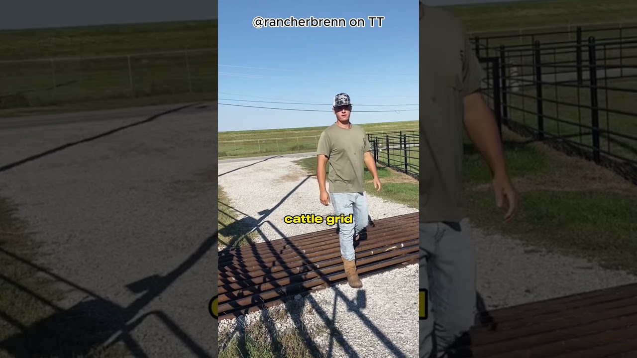 Cattle guard explained