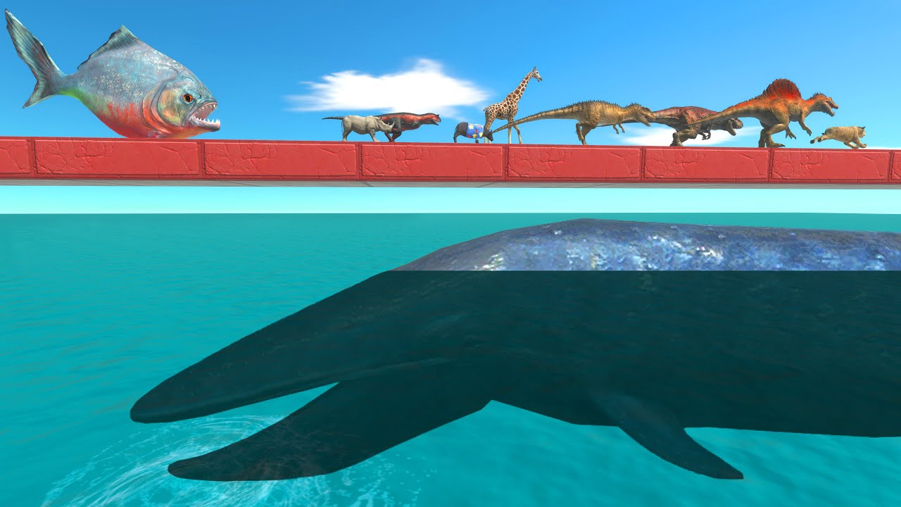Run Through Biologic Blue Whale Bay &ndash; Survive or Be Devoured by Sea Monsters? | ARBS