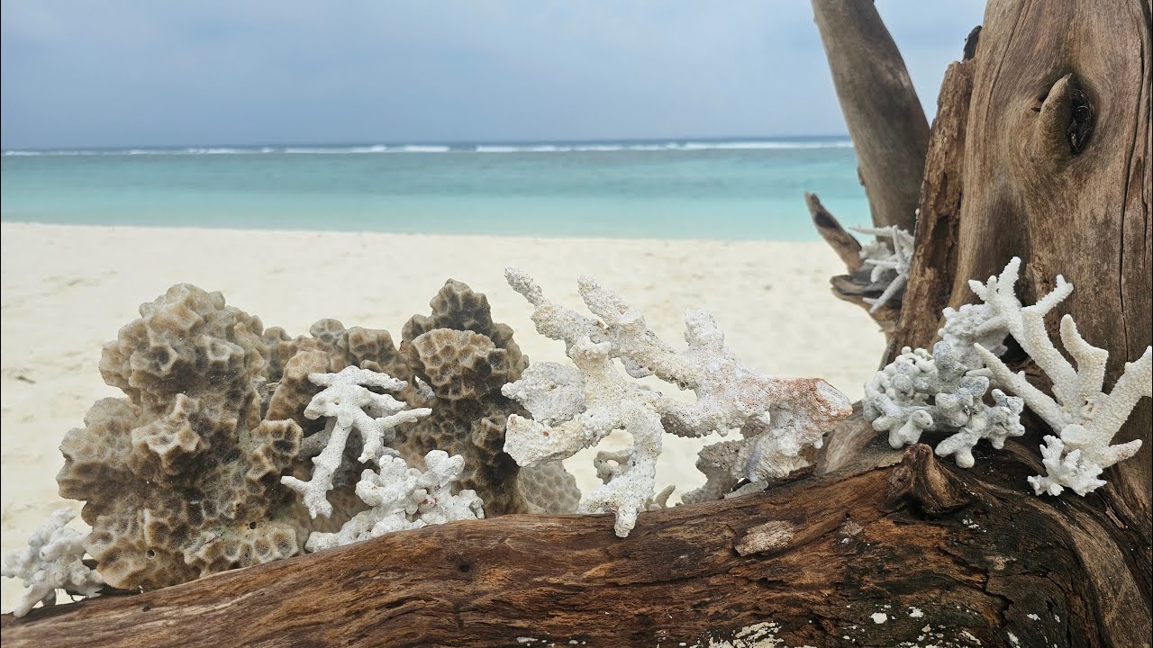 2023 12 20 MALDIVES - FULHADHOO