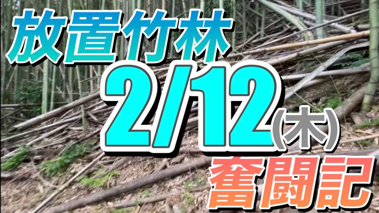 放置竹林奮闘記【早期退職者が竹を焼く日々】2026/02/12