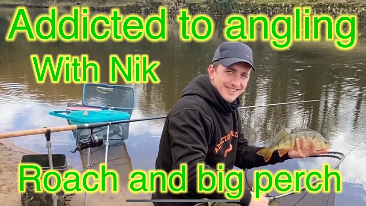 River ribble big roach and perch