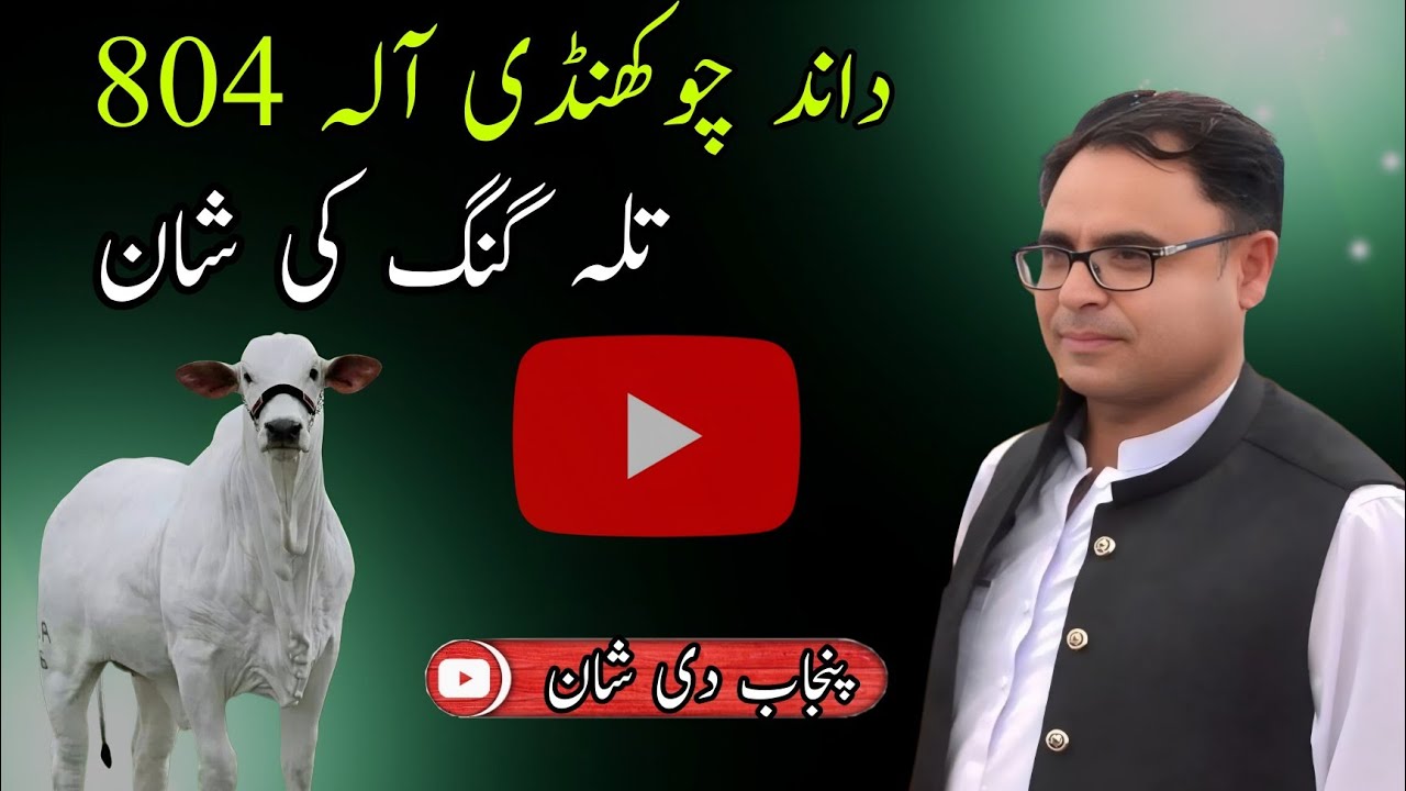 Dand Chowkhandi Ala 804 Tallagang Ki Sakafat Tallagang Ki Pahchan Dand Karah