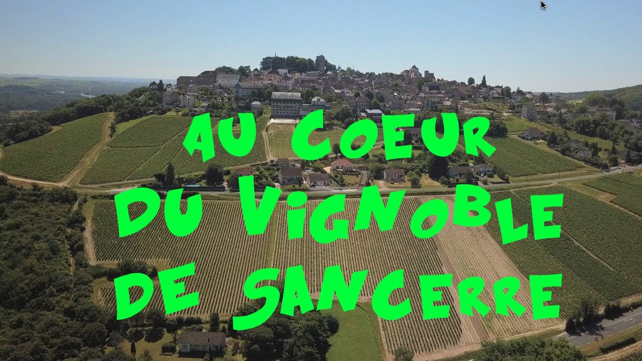Au coeur du vignoble de Sancerre