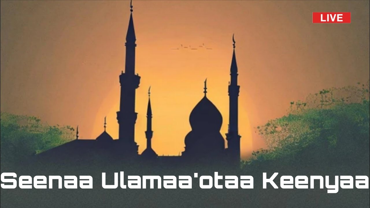 Seenaa ulamaa'otaa Keenyaa 