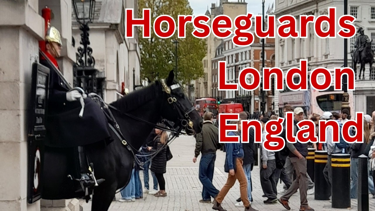 Horseguards London England #horseguards #londonwalk #welcometolondon #london #londonengland #horses