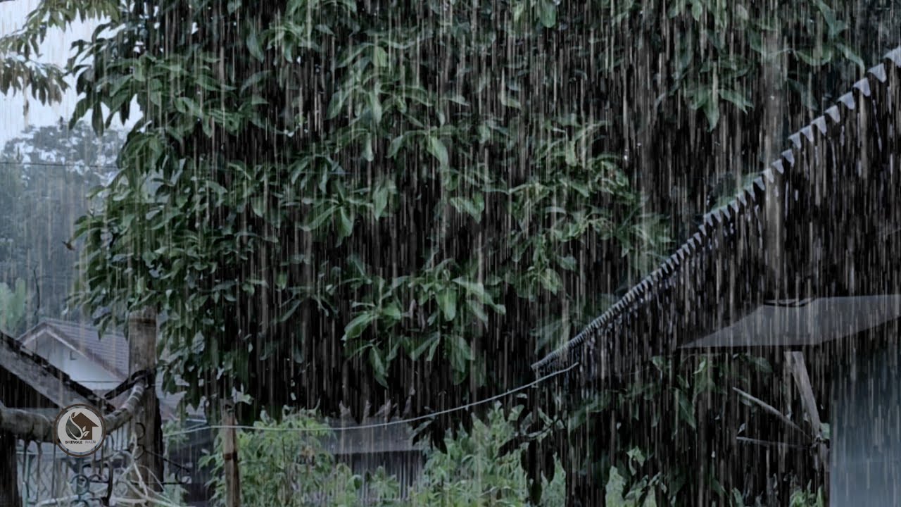 Natural Shingle Rain Sound on Roof | Calm Rain Ambience for Quiet Moments