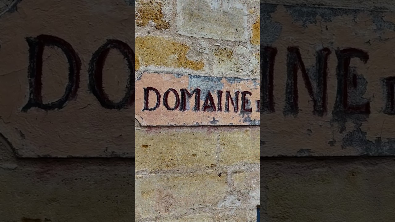 TEASER -DOMAINE MARIUS BIELLE: 🍷 L'Art du Vin : Damien Bielle, un vigneron aux multiples facettes!