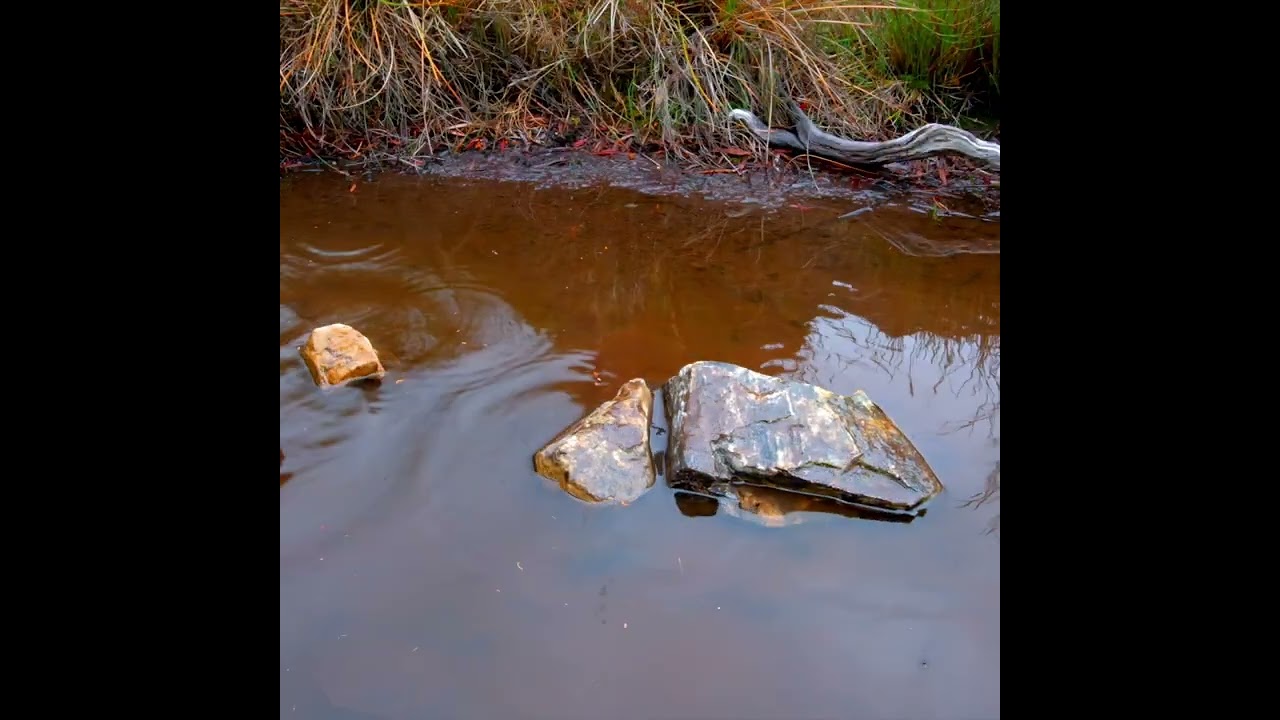 Sydney Contemporary: Meet The Artist, Clifford How