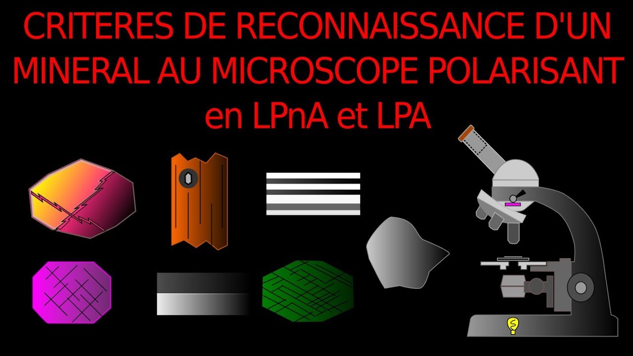 # Minéraux en LPnA vs LPA, critères de reconnaissance, SVT, Hervé Kempf, lycée de l'Elorn