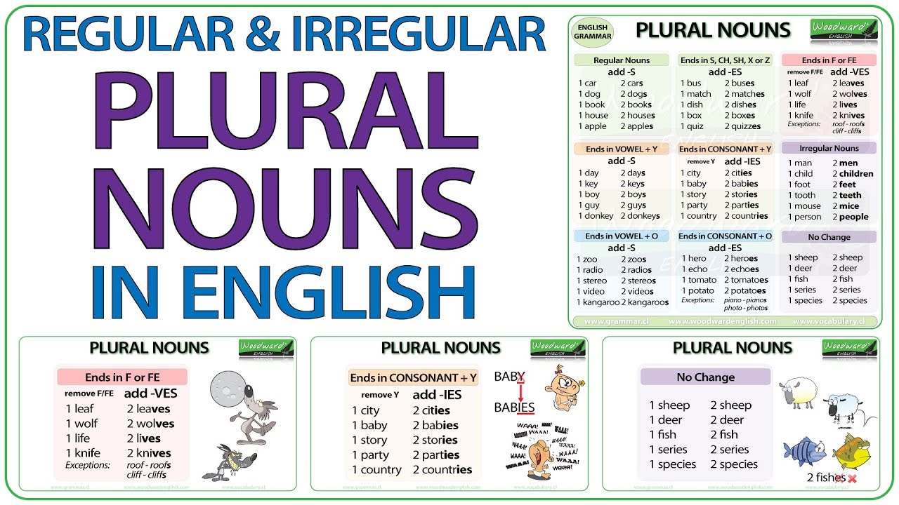 Plural Nouns in English | Regular & Irregular Plural Nouns | Plurals Spelling