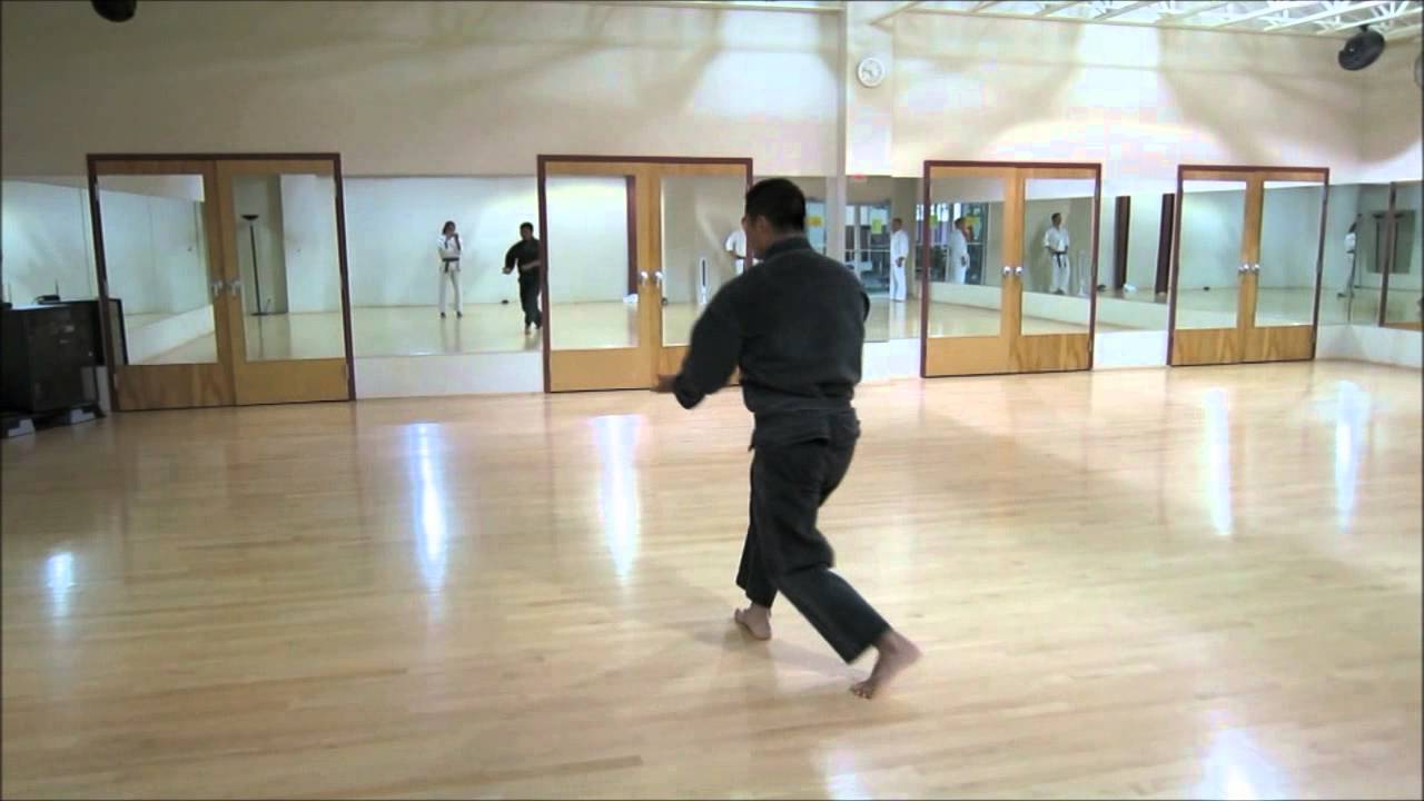 Shorin Ryu Pinan Shodan, ni, and san katas