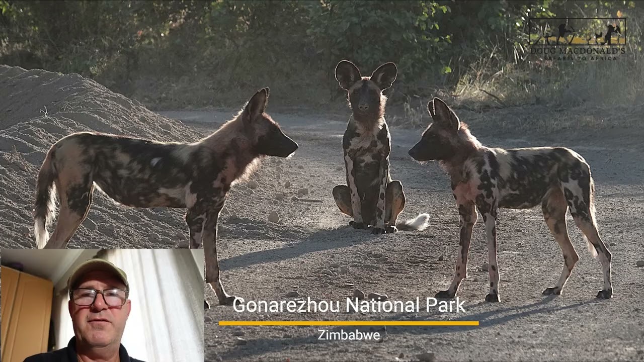 Gonarezhou National Park with Doug Macdonald