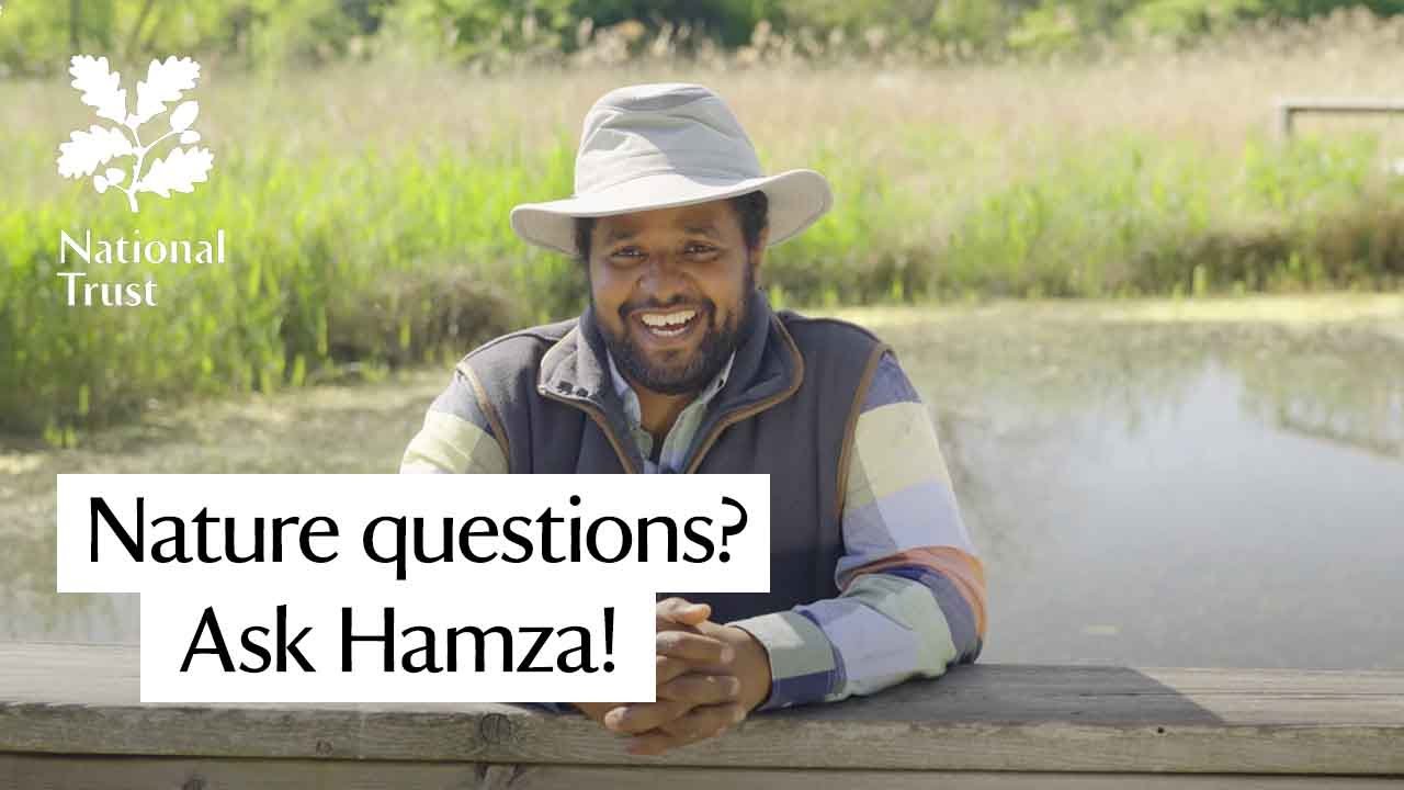 Hamza Yassin, wildlife presenter, shares his top tips for nature in autumn