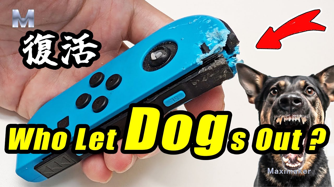 I Fully Restored a Dog-Chewed Joy-Con – Fixed the Latch, Flashed It, and Changed the Color!