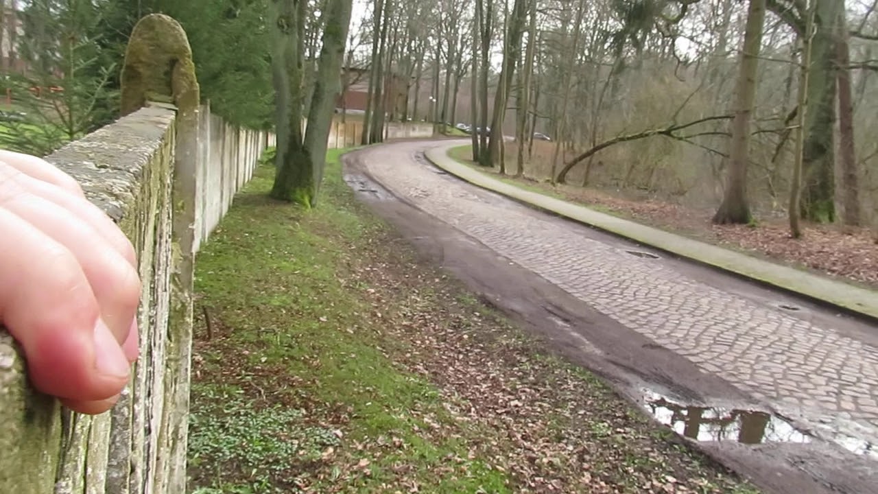 ODWIEDZINY Z KARMĄ - pan Tomek odwiedził nas z rodziną : rozmowa przez parkan : 8.03.2020/12:18