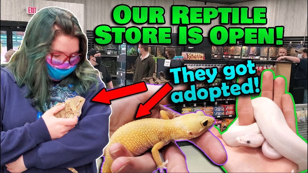 Opening Weekend for our Reptile Store!