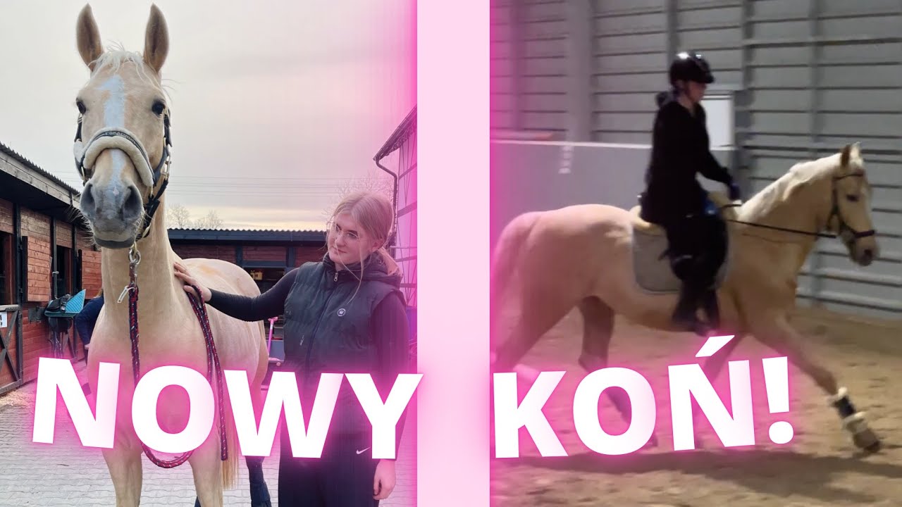 KUPILIŚMY KONIA ! 🥹