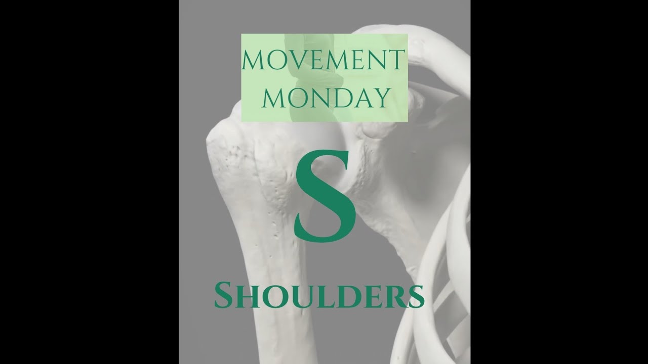 How the Shoulder Is Designed to Move (And Why Things Get Stuck or Sore) | Movement Monday