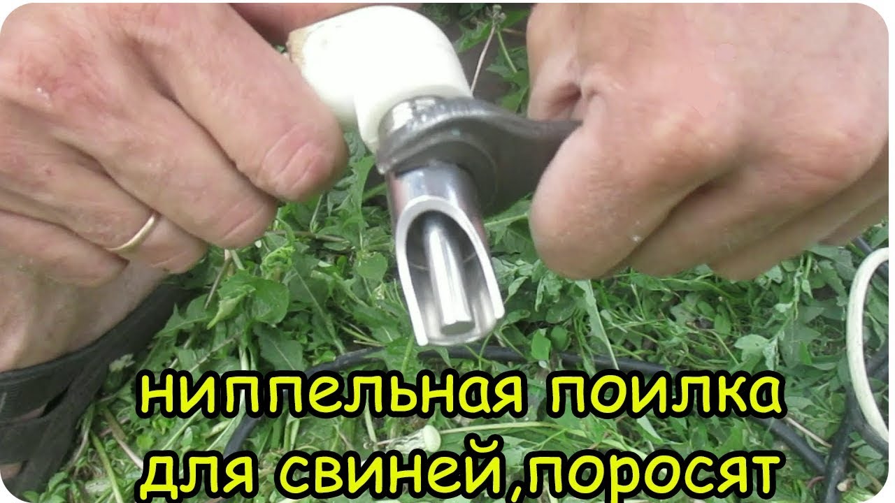 Ниппельная поилка для свиней и поросят своими руками.Как установить ниппельные поилки.