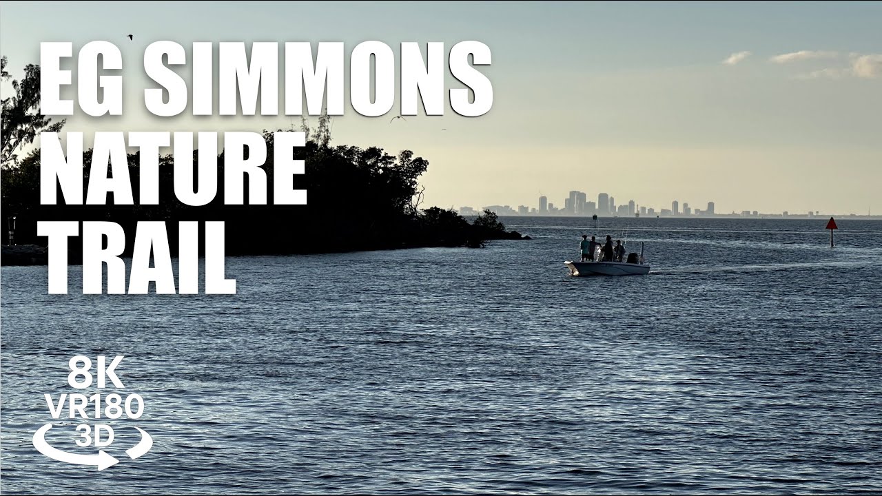 E.G. Simmons Park Hiking Trail VR180 8K 3D | Tampa Bay Sunset Walk, Coastal Trail VR视频 8K 3D動画 VR旅行