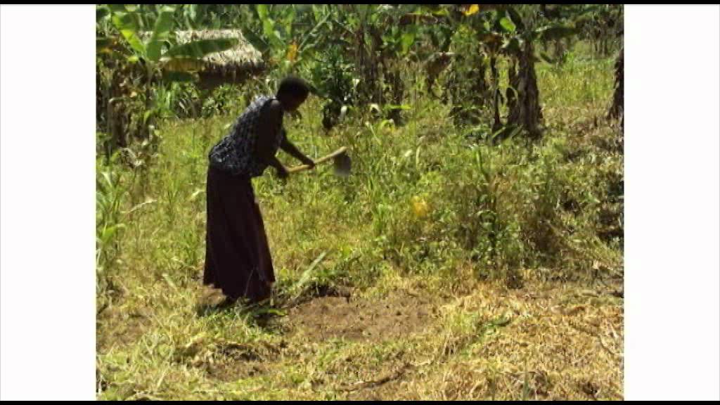 Rural Women Poverty and Hunger Eradication-.flv
