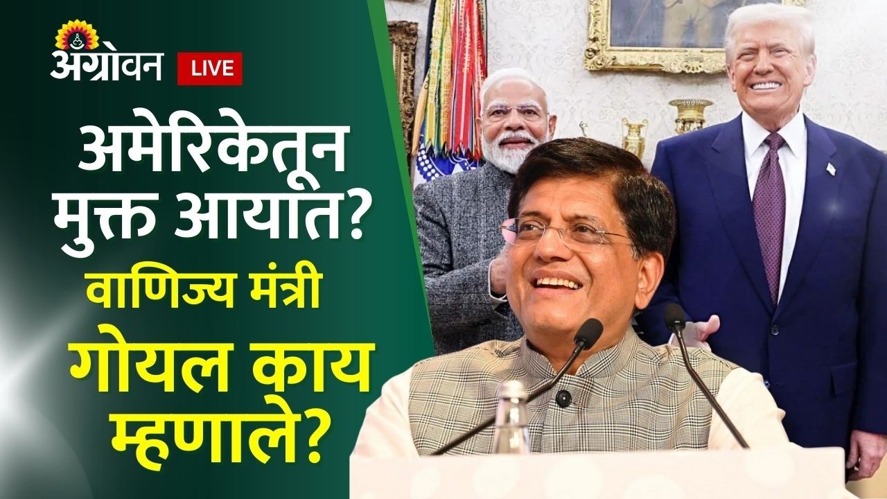 Piyush Goyal Live: अमेरिकेच्या आयात शुल्कावर वाणिज्य मंत्री पियुष गोयल काय बोलणार?