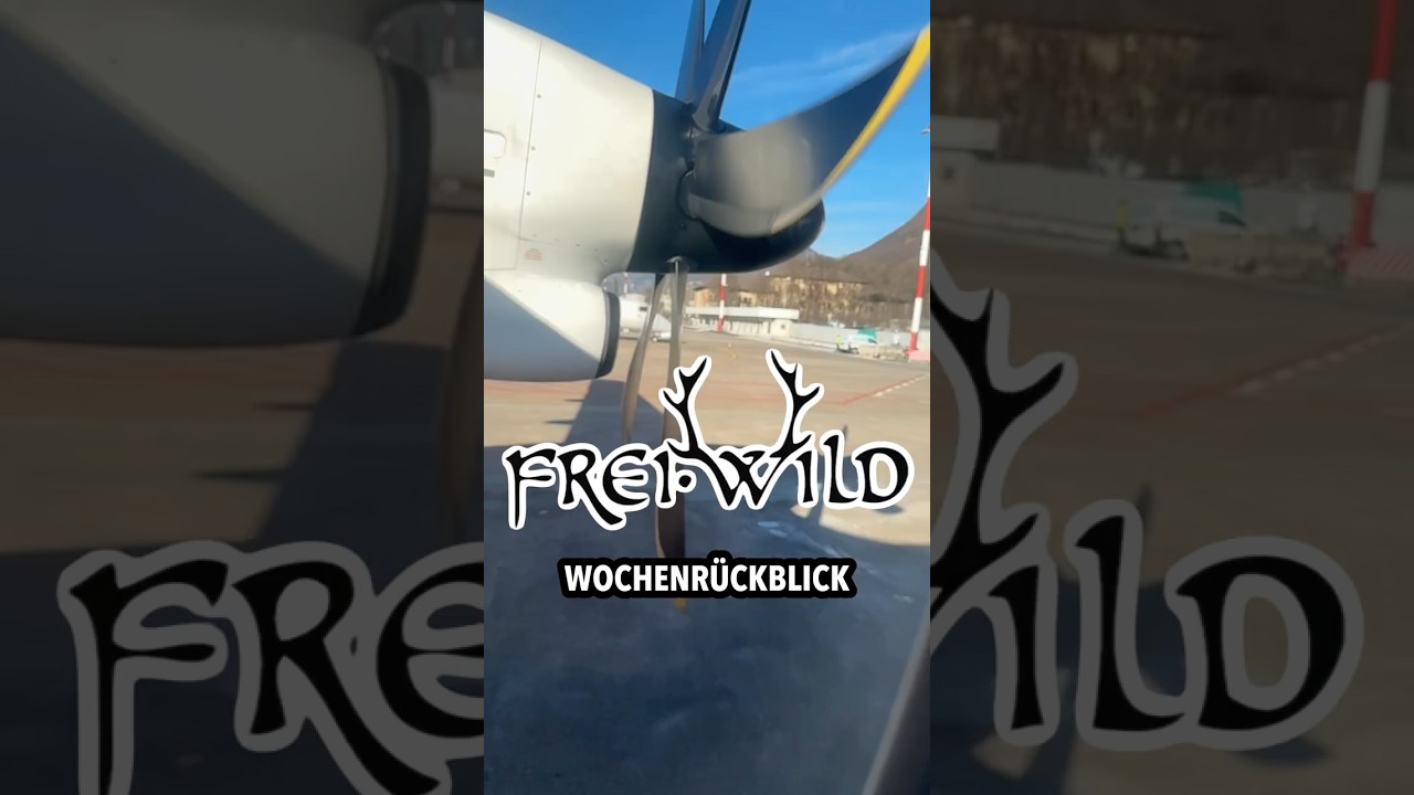 Freunde, es ist wieder allerhand passiert.