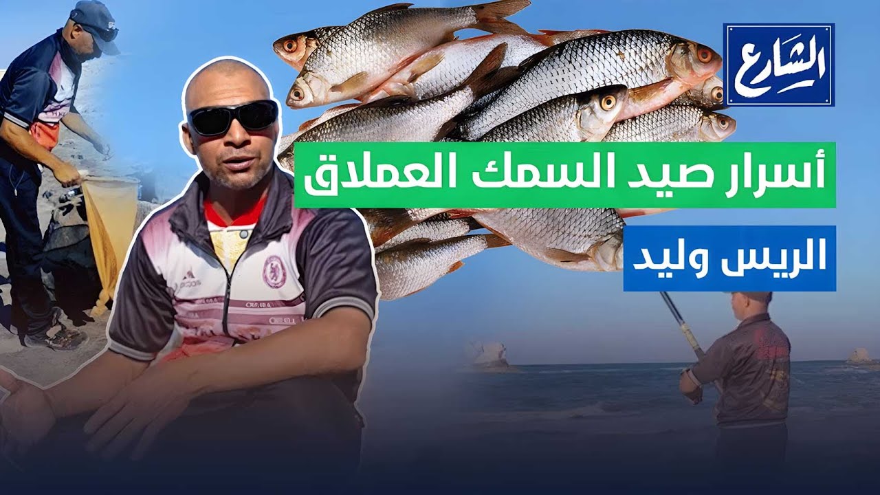الشارع | مافيش صياد سمك يقول الكلام ده