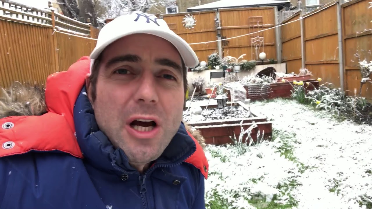 The gert beast from Easton is yer! The snow the snow is Pitchen