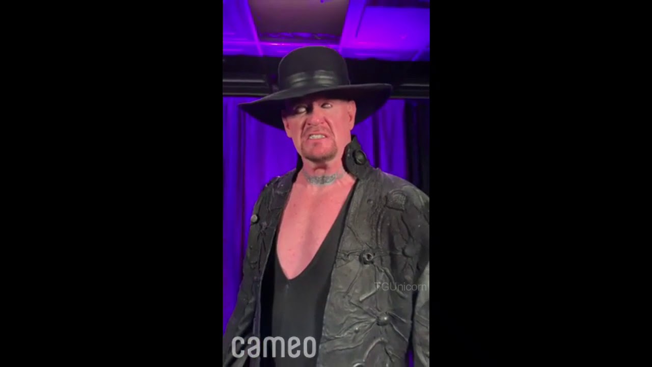 ALL UNDERTAKER CAMEOS COMPILATION