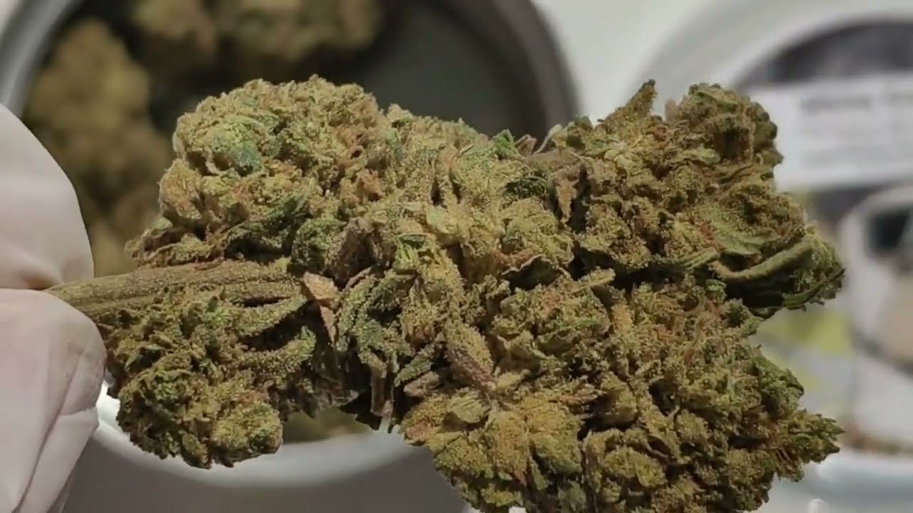 Odile.green Rollex OG CBD  Opening Video