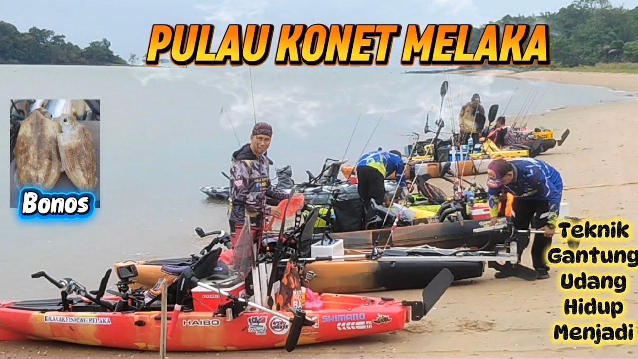 TEKNIK GANTUNG UDANG HIDUP MENJADI‼️... 