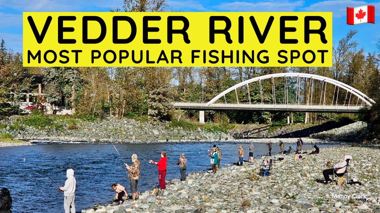 259🇨🇦 Vedder River | Most Popular Fishing Spot in Chilliwack