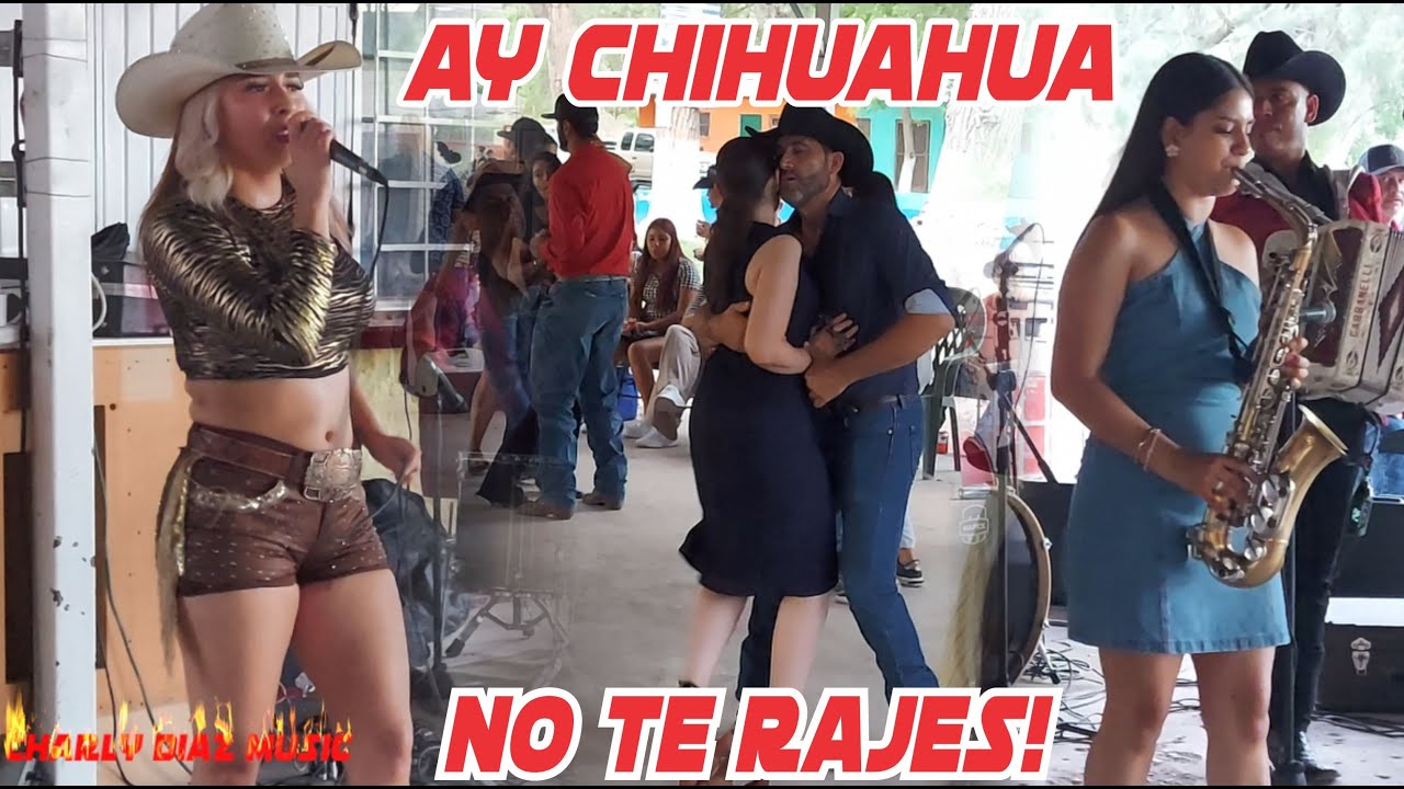 Ay Chihuahua, No Te Rajes! Asi Nomas Quedo.