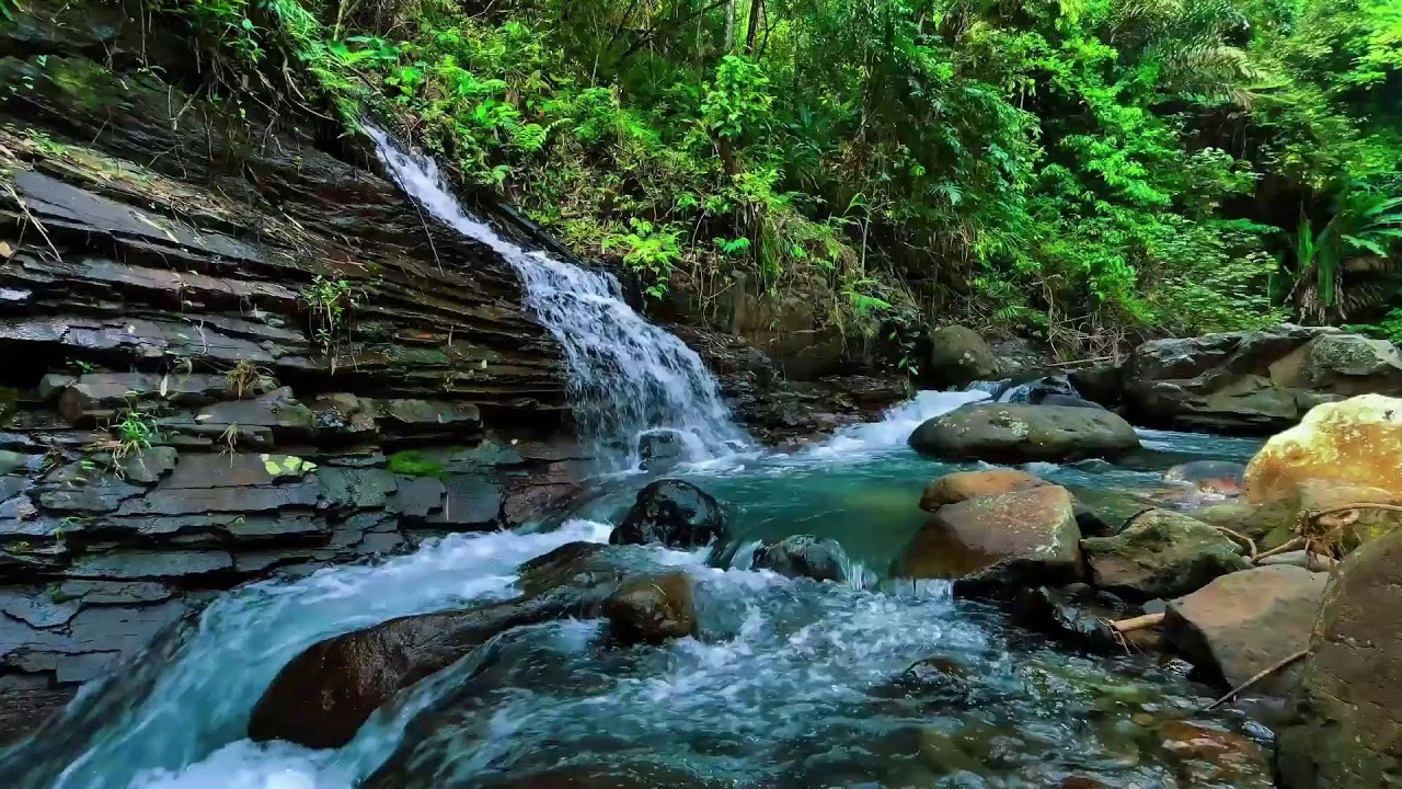 Waterfall Sounds for Sleeping, River Sounds for relaxation, Water Sounds for stress relief #1