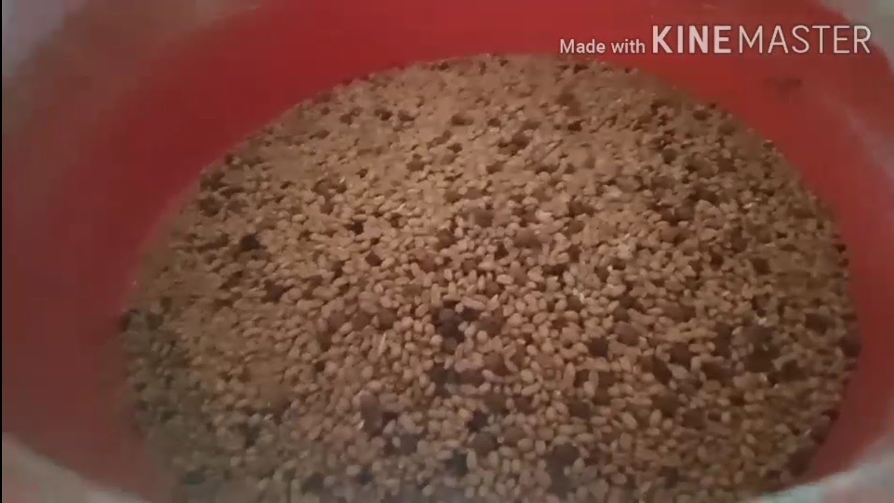 Chhatua Making