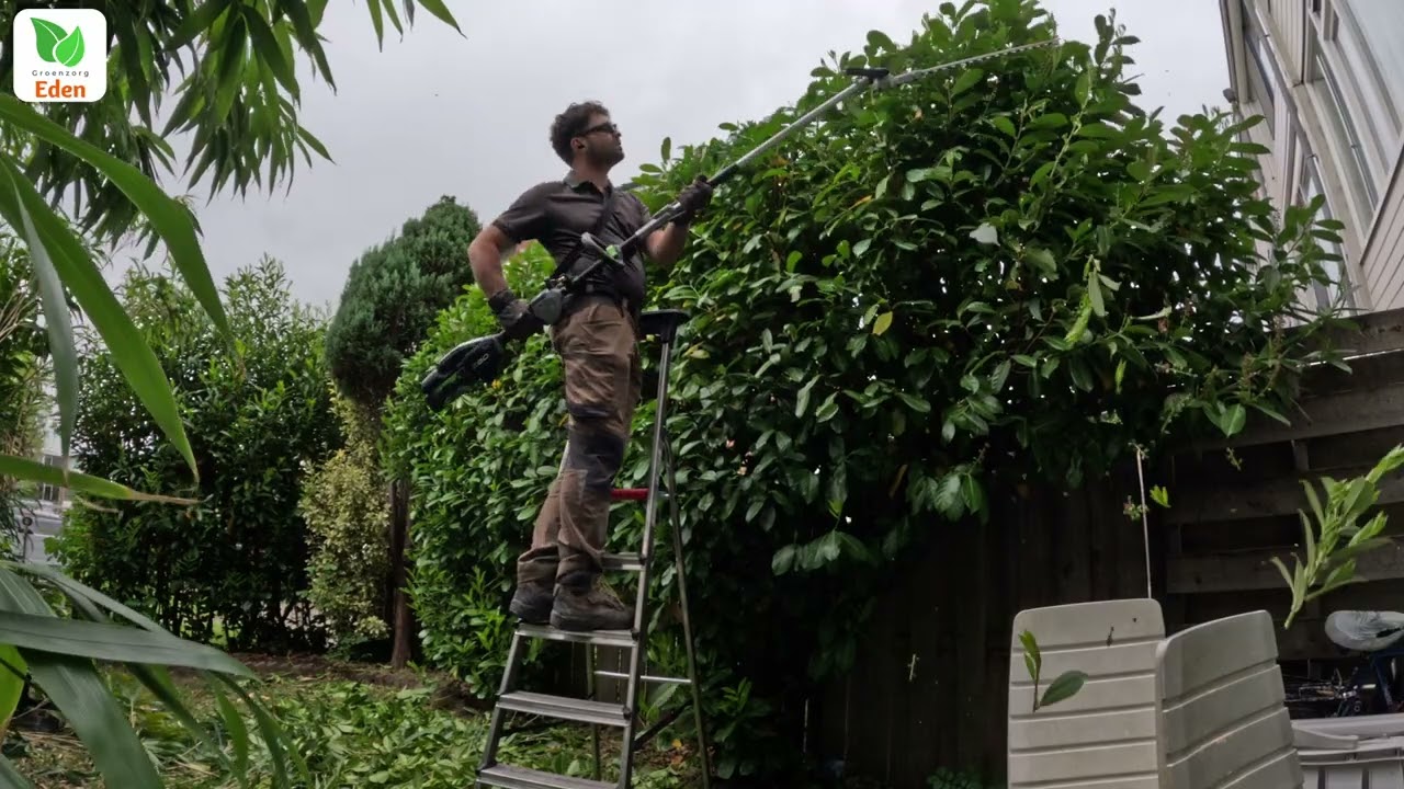Turning a Jungle Into a Garden! | Epic Spring Clean-Up Surprise