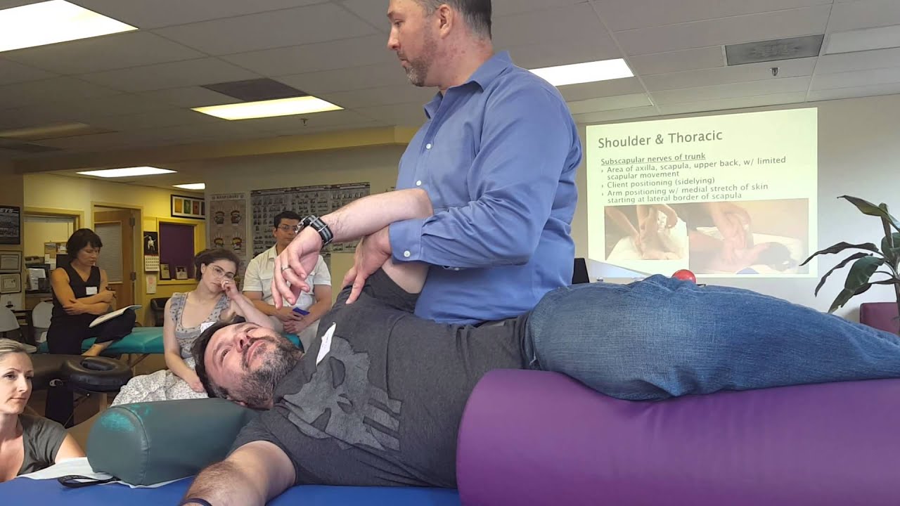 Shoulder and thoracic work Dermoneuromodulation (DNM) Seminar with Jason Erickson