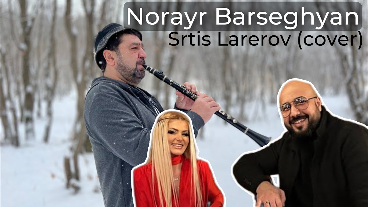 Norayr Barseghyan - Srtis Larerov (cover) / Նորայր Բարսեղյան - Սրտիս Լարերով (cover)
