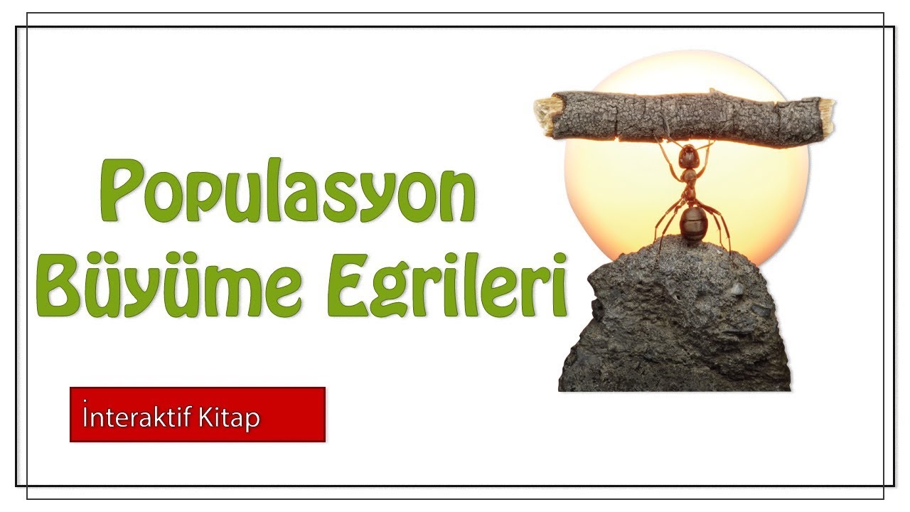 Populasyon Büyüme Eğrileri #sayfa188
