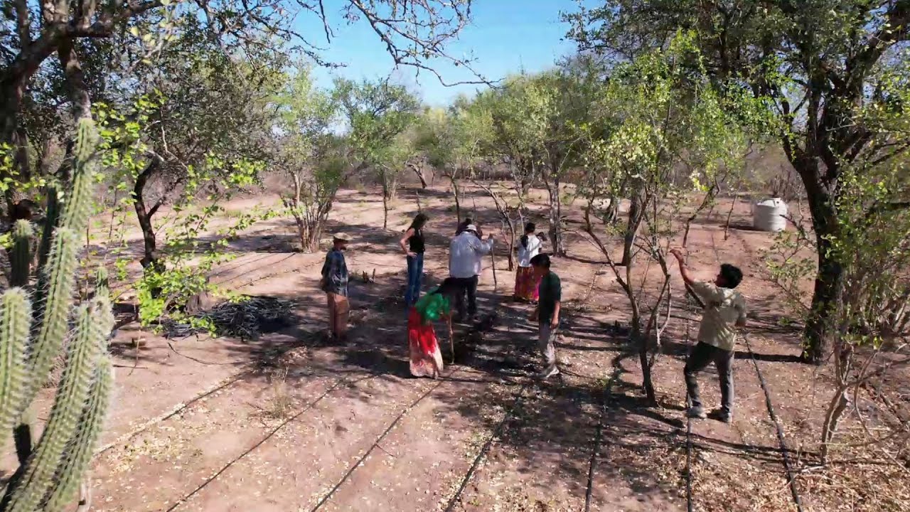 With “Farmers for Future,” Eramet Supports Sustainable Agriculture in Argentina